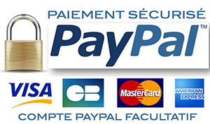 La plateforme de paiement PayPal
