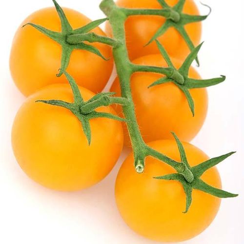 TOMATE COCKTAIL YELLOW GRAPES 0,1g